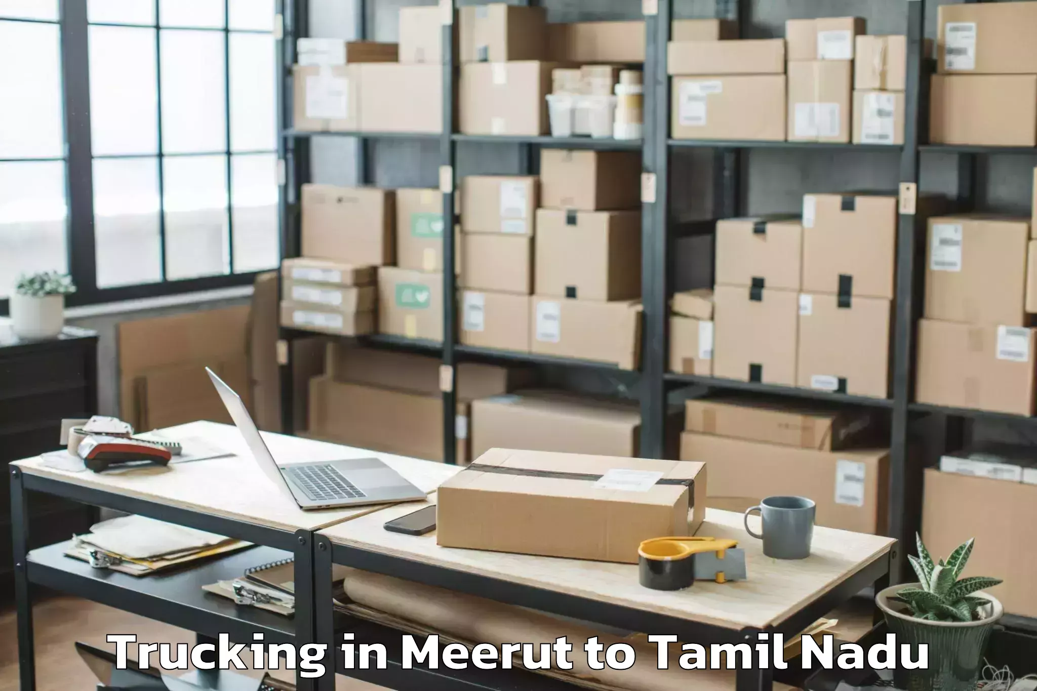 Book Meerut to Iluppur Trucking